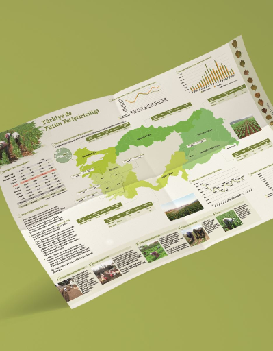 Türkiye'de Tütün Yetiştiriciliği