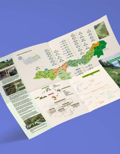 Türkiye'de Çay Üretimi