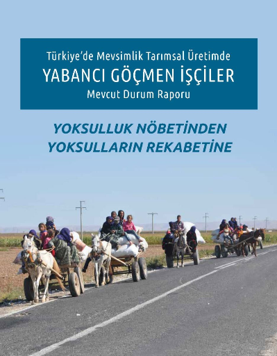 Türkiye'de Mevsimlik Tarımsal Üretimde Yabancı Göçmen İşçiler Mevcut Durum Raporu