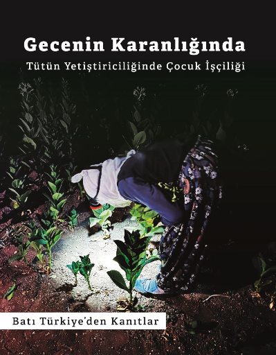 Gecenin Karanlığında Tütün Yetiştiriciliğinde Çocuk İşçiliği