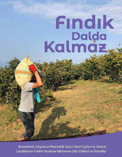 Fındık Dalda Kalmaz