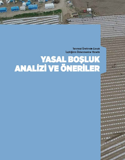 Tarımsal Üretimde Çocuk İşçiliğin Önlenmesine Yönelik Yasal Boşluk Analizi ve Öneriler