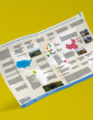 Dünya Genelinde COVID-19 Pandemisi Sürecinde Mevsimlik Gezici Tarım İşçilerinin Yaşadığı Problemler ve Bunlara Yönelik Alınan Önlemler -II