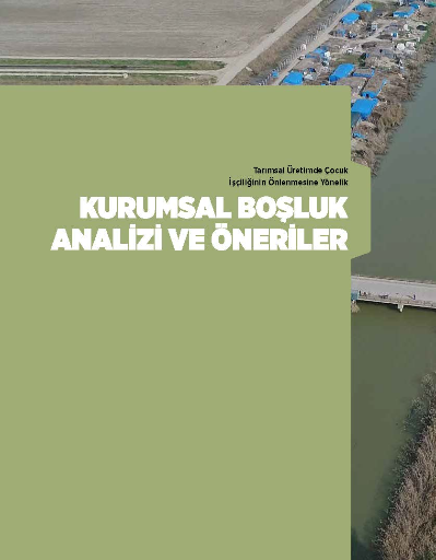 Tarımsal Üretimde Çocuk İşçiliğinin Önlenmesine Yönelik Kurumsal Boşluk Analizi ve Öneriler