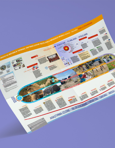 Çocuk İşçiliğiyle Mücadele Modeli Aktörler - Hizmetler