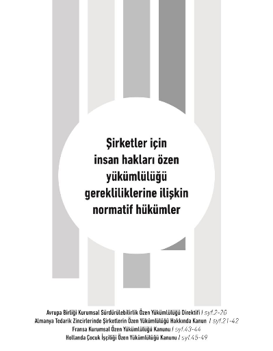 Şirketler için insan hakları özen yükümlülüğü gerekliliklerine ilişkin normatif hükümler