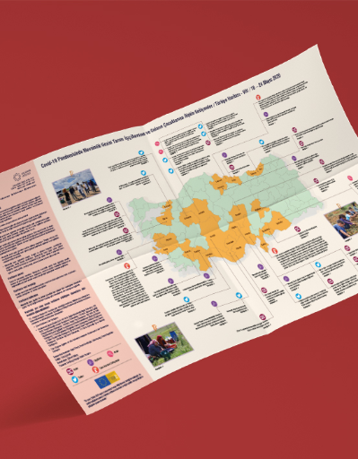 COVID-19 Pandemisinde Mevsimlik Gezici Tarım İşçilerine ve Çocuklarına İlişkin Gelişmeler / Türkiye Haritası-VIII