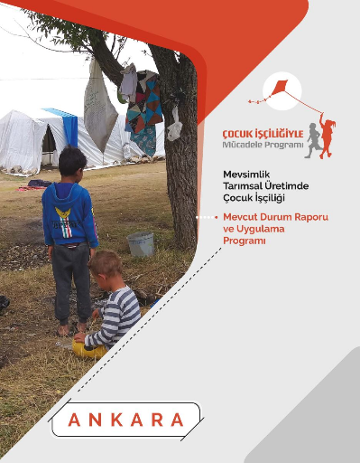 Mevsimlik Tarımsal Üretimde Çocuk İşçiliği Mevcut Durum Raporu ve Uygulama Programı ANKARA