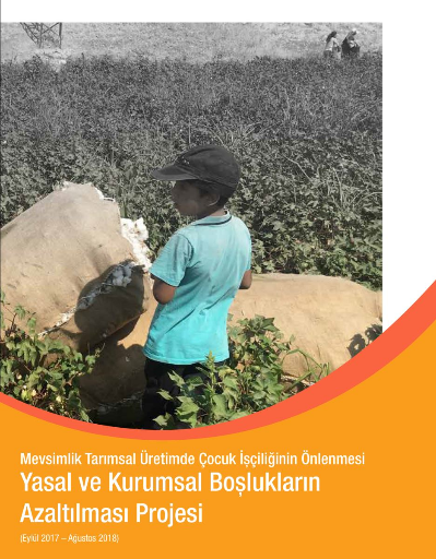 Çocuk İşçiliği Yasal ve Kurumsal Boşlukların Azaltılması Projesi