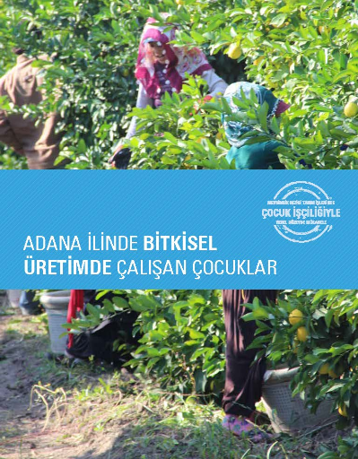 Adana İlinde Bitkisel Üretimde Çalışan Çocuklar