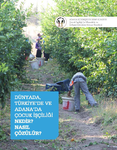 Dünyada Türkiye'de ve Adana'da Çocuk İşçiliği Nedir? Nasıl Çözülür?